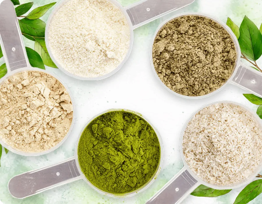 The ProDentim proprietary blend of probiotics, plants and minerals